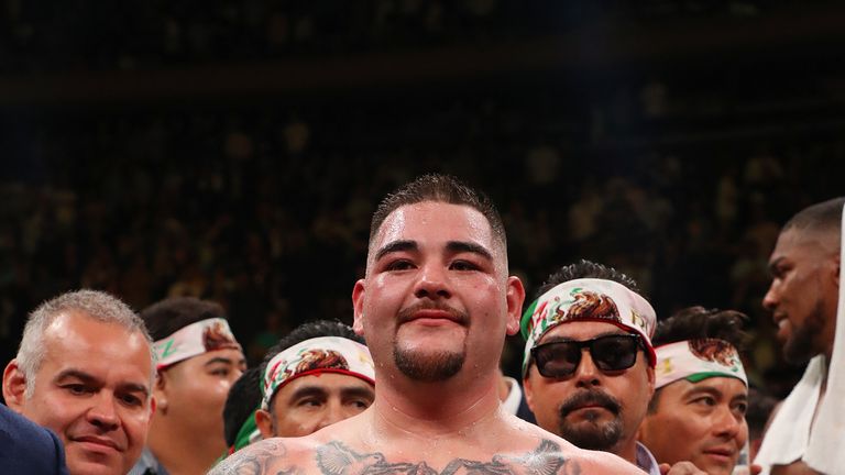 Andy Ruiz Jr celebrates his win over Anthony Joshua after their IBF/WBA/WBO heavyweight title fight at Madison Square Garden.