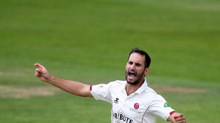 Lewis Gregory, Somerset, County Championship