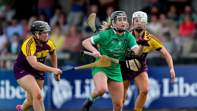 Limerick saw off Wexford