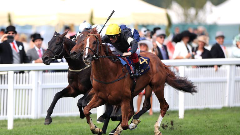 Frankie Dettori goes four from four - Stradivarius wins the Gold Cup