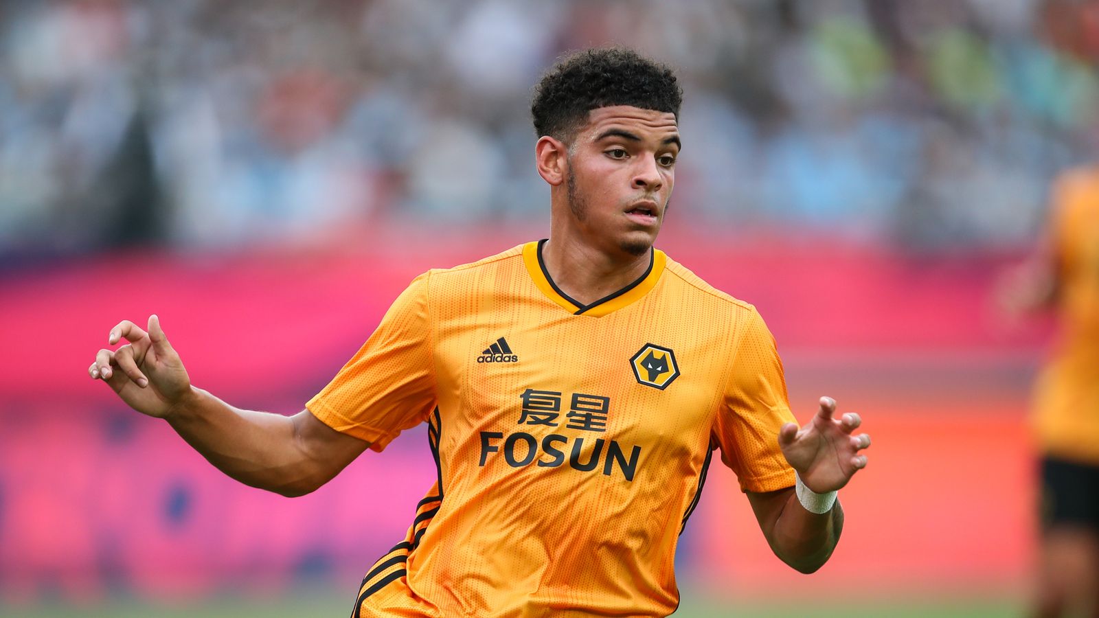 GibbsWhite Wolves' Europa League campaign means more game time Football News Sky Sports GibbsWhite Wolves' Europa League campaign means more game time Football News Sky Sports