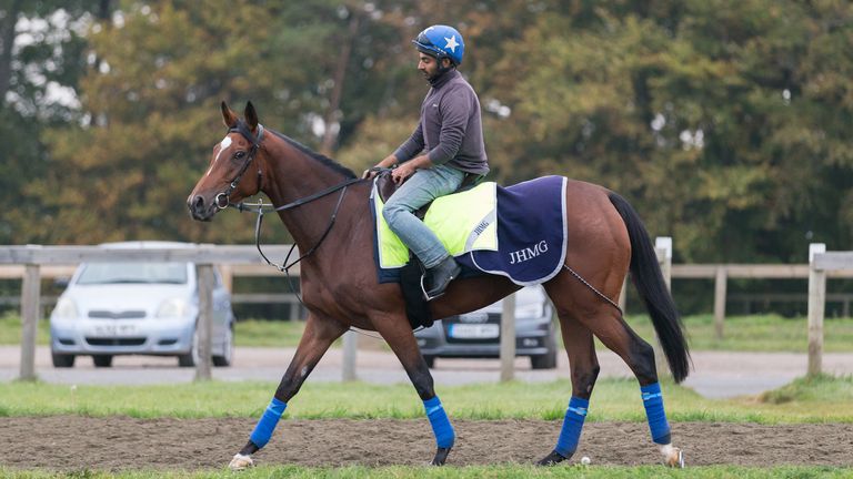 Enable training at Newmarket 