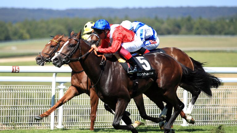 Regal Reality in winning action at Goodwood