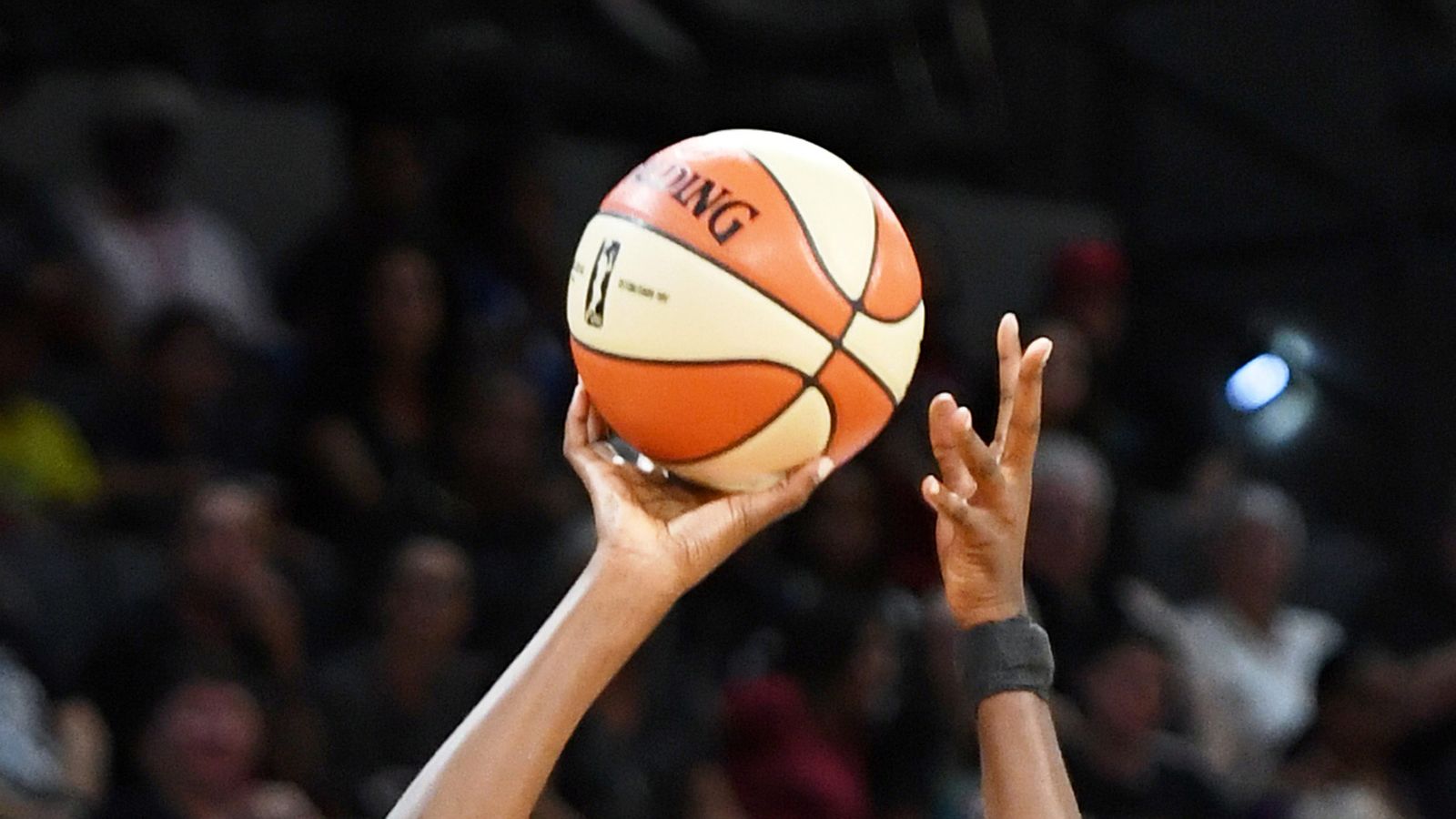 Sky owner battling odds trying to develop successful WNBA model