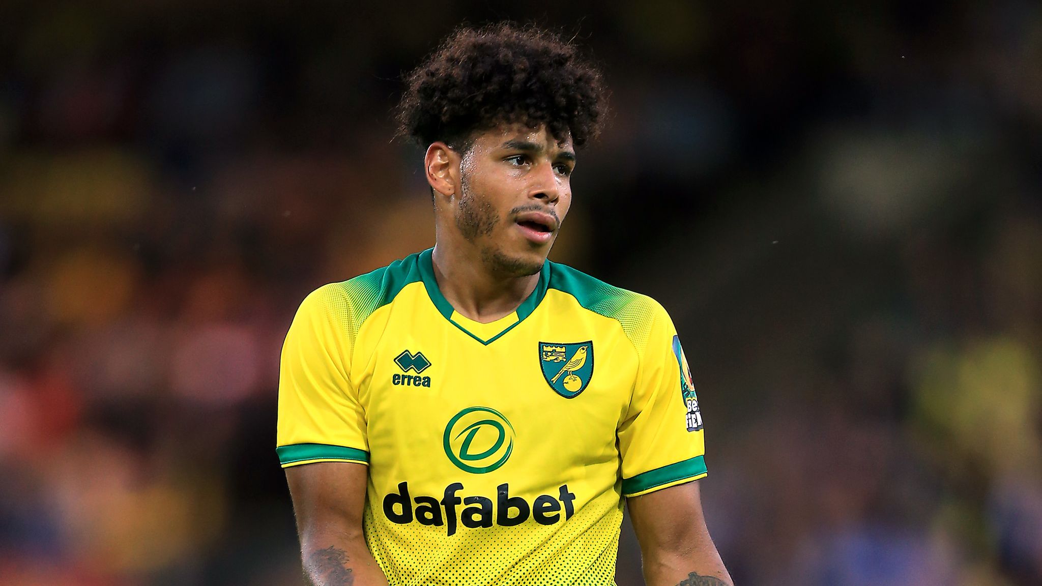 Onel Hernandez injury blow for Norwich with Cuban set for up to three months out | Football News | Sky Sports