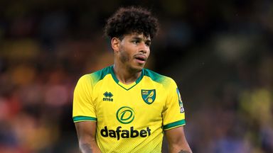 Image of Hernandez looks like being a long-term injury absentee for Norwich