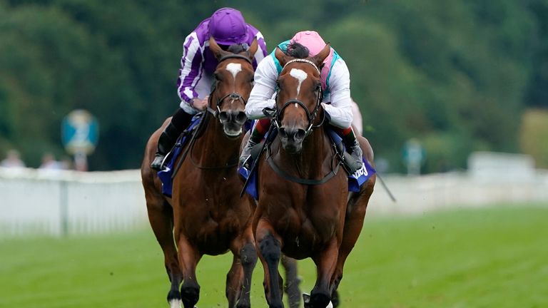 Enable has the measure of Magical in the Darley Yorkshire Oaks