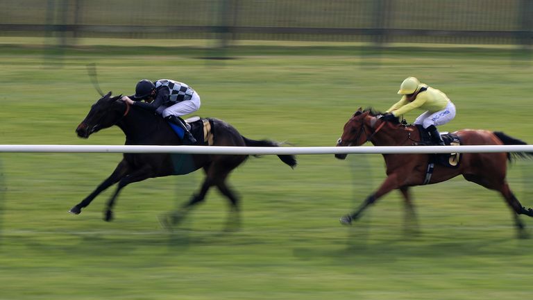 Lavender's Blue ridden by Robert Havlin