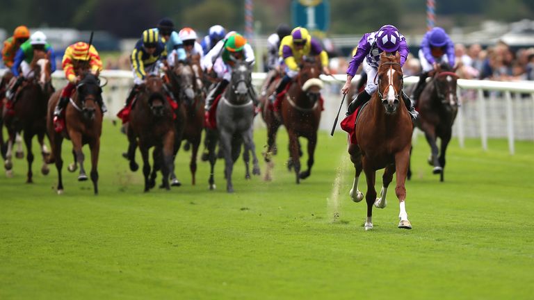 Mums Tipple is in a different league to his York rivals