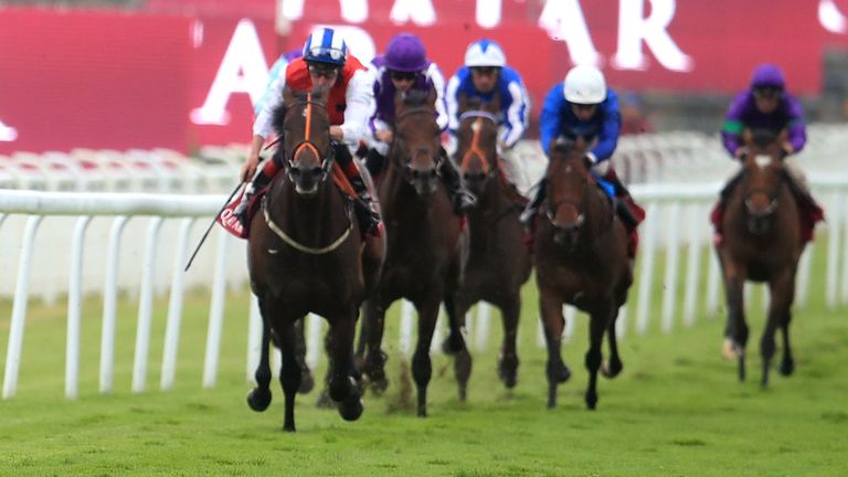 Positive in action at Goodwood