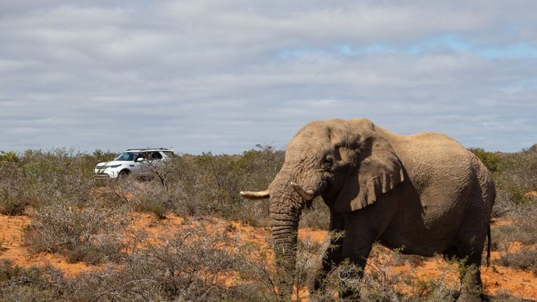 Habana visited the Kwandwe private game reserve with bush ranges in the Eastern Cape