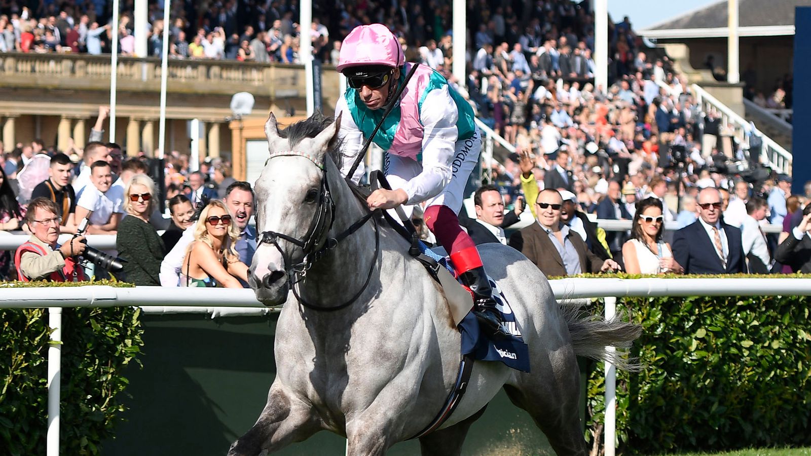 connections-ponders-logician-future-racing-news-sky-sports