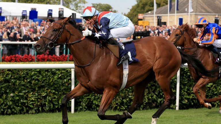 Sir Dancealot ridden by Gerald Mosse wins the Hird Rail Group Park Stakes during day four of the William Hill St Leger Festival at Doncaster Racecourse. PA Photo. Picture date: Saturday September 14, 2019. See PA story RACING Doncaster. Photo credit should read: Clint Hughes/PA Wire