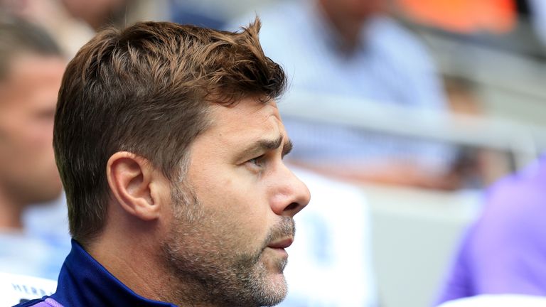 Mauricio Pochettino had a busy summer strengthening his squad ahead of the new Premier League campaign