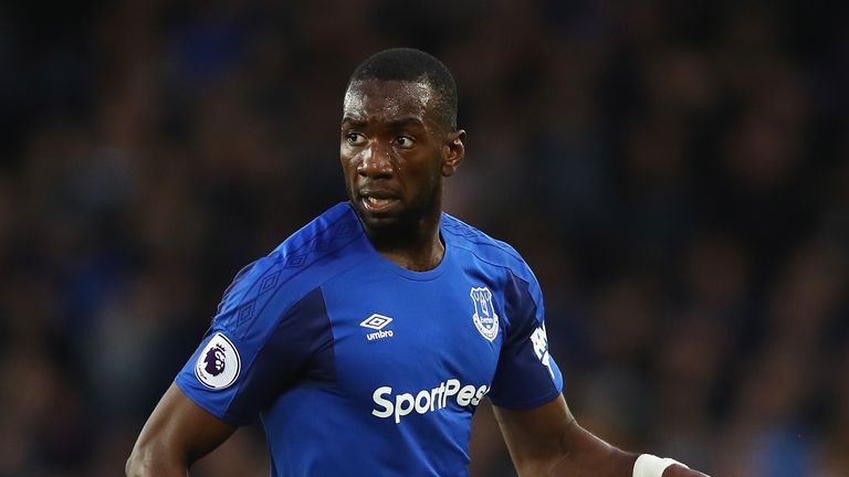 Yannick Bolasie of Everton in action during the Premier League match between Everton and Newcastle United at Goodison Park on April 23, 2018 in Liverpool, England. 