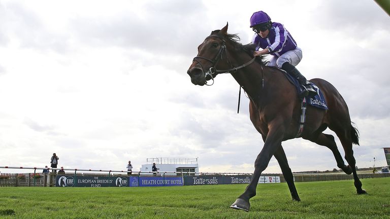 Wichita ridden by Ryan Moore wins The Tattersalls Stakes during day one of The Cambridgeshire Meeting at Newmarket Racecourse. PA Photo. Picture date: Thursday September 26, 2019. See PA story RACING Newmarket. Photo credit should read: Nigel French/PA Wire.