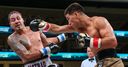 Bivol coasts pasts Castillo