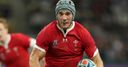 Jenkins confident of Davies' Wales return