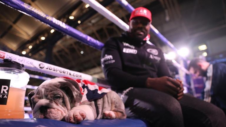 Derek Chisora
