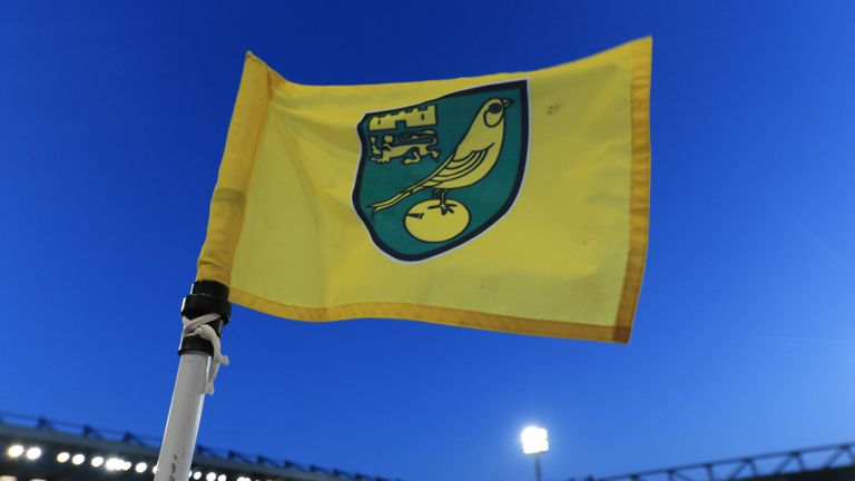 General view of Norwich City flag at Carrow Road
