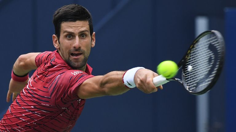 Novak Djokovic's quest for the title was halted in the quarter-finals