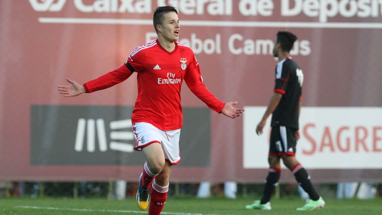 Sarkic se unió al Benfica desde Anderlecht, siendo asignado a su equipo juvenil en 2014