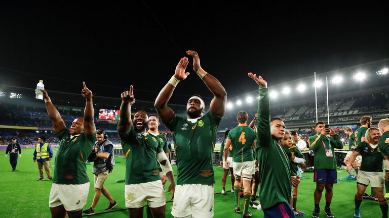 The Springboks celebrate after beating Wales