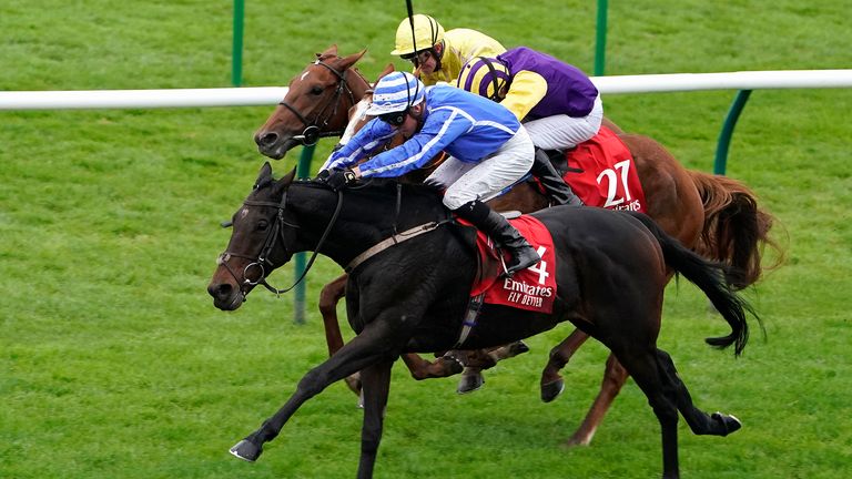 Jason Watson riding Stratum (blue) wins the Emirates Cesarewitch Stakes at Newmarket 
