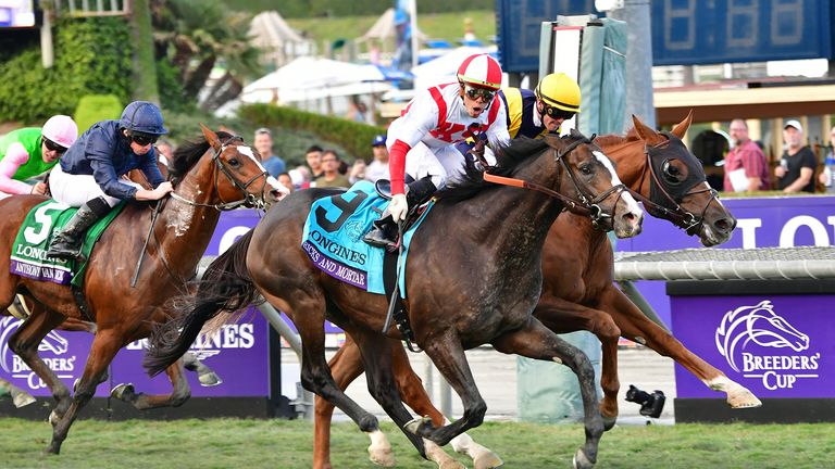 Jockey Irad Ortiz Jr. rides Bricks And Mortar to victory in the Breeders Cup Turf Grade 1 race at the 2019 Breeders Cup at the Santa Anita Racetrack in Arcadia, California on November 2, 2019. - Flavien Prat riding United took 2nd and Ryan Moore on Anthony Van Dyck came in 3rd. (Photo by Frederic J. BROWN / AFP) (Photo by FREDERIC J. BROWN/AFP via Getty Images)