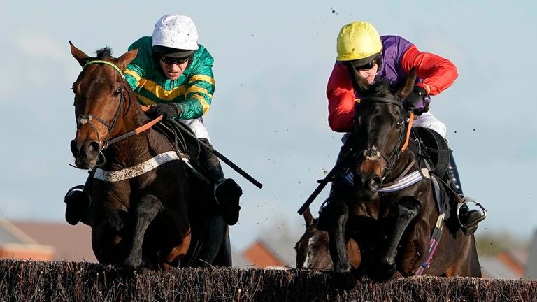 Champ (left) wins on fencing debut at Newbury