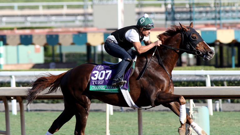 Channel Maker warms up ahead of the 2019 Breeders' Cup