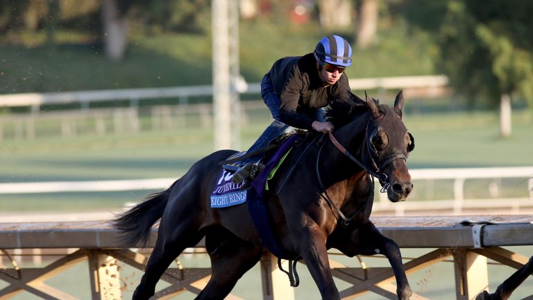 Eight Rings works out ahead of the Breeders' Cup