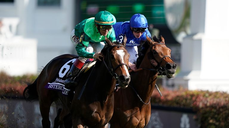 Sistercharlie winning at the 2018 Breeders' Cup