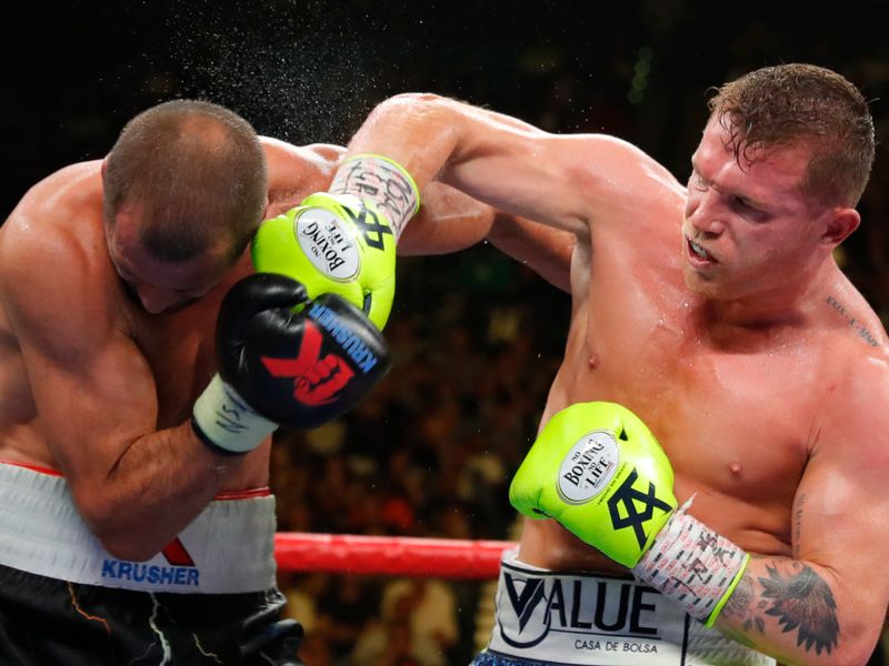 How Much Does Canelo Alvarez Make Per Fight?