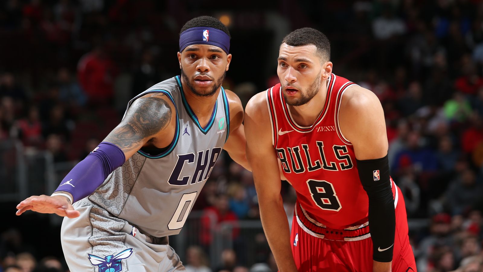 Charlotte Hornets Chicago bulls.