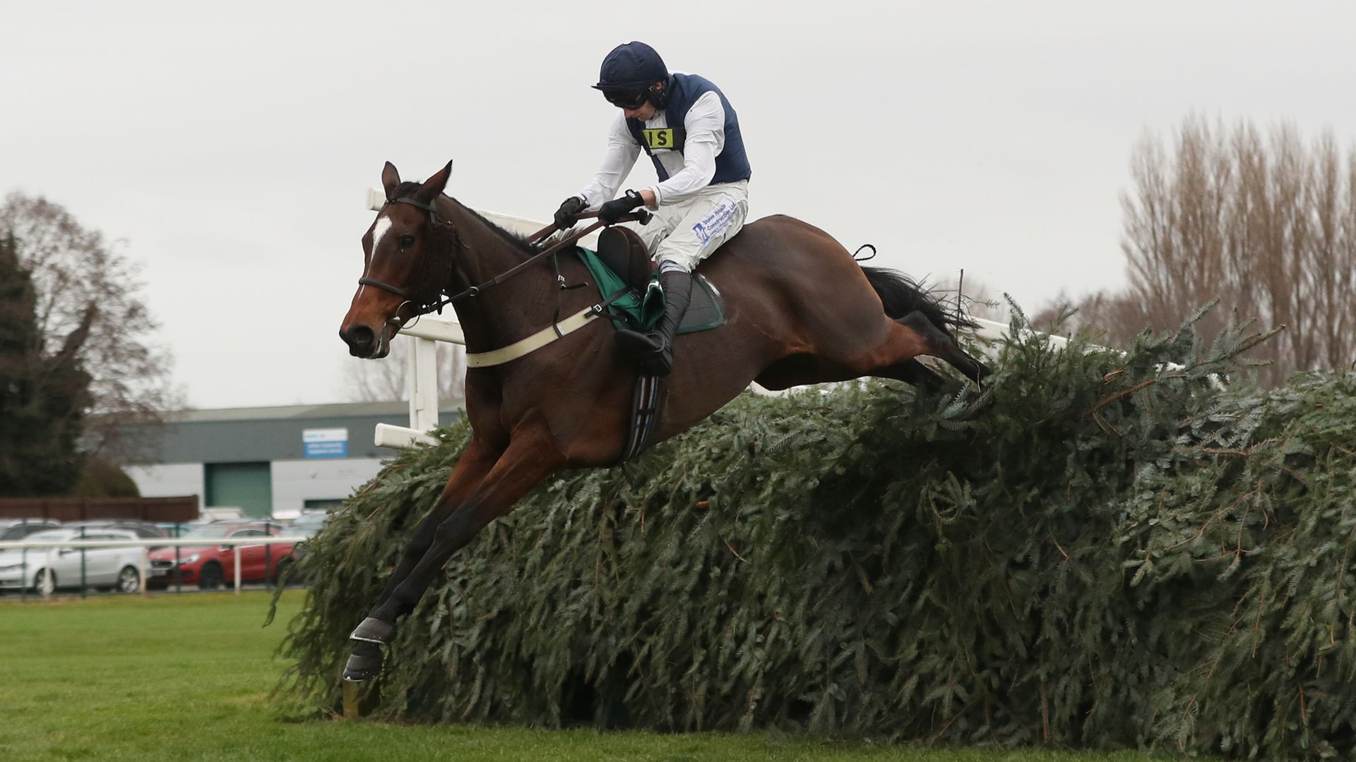 Mill among 17 in Becher Chase