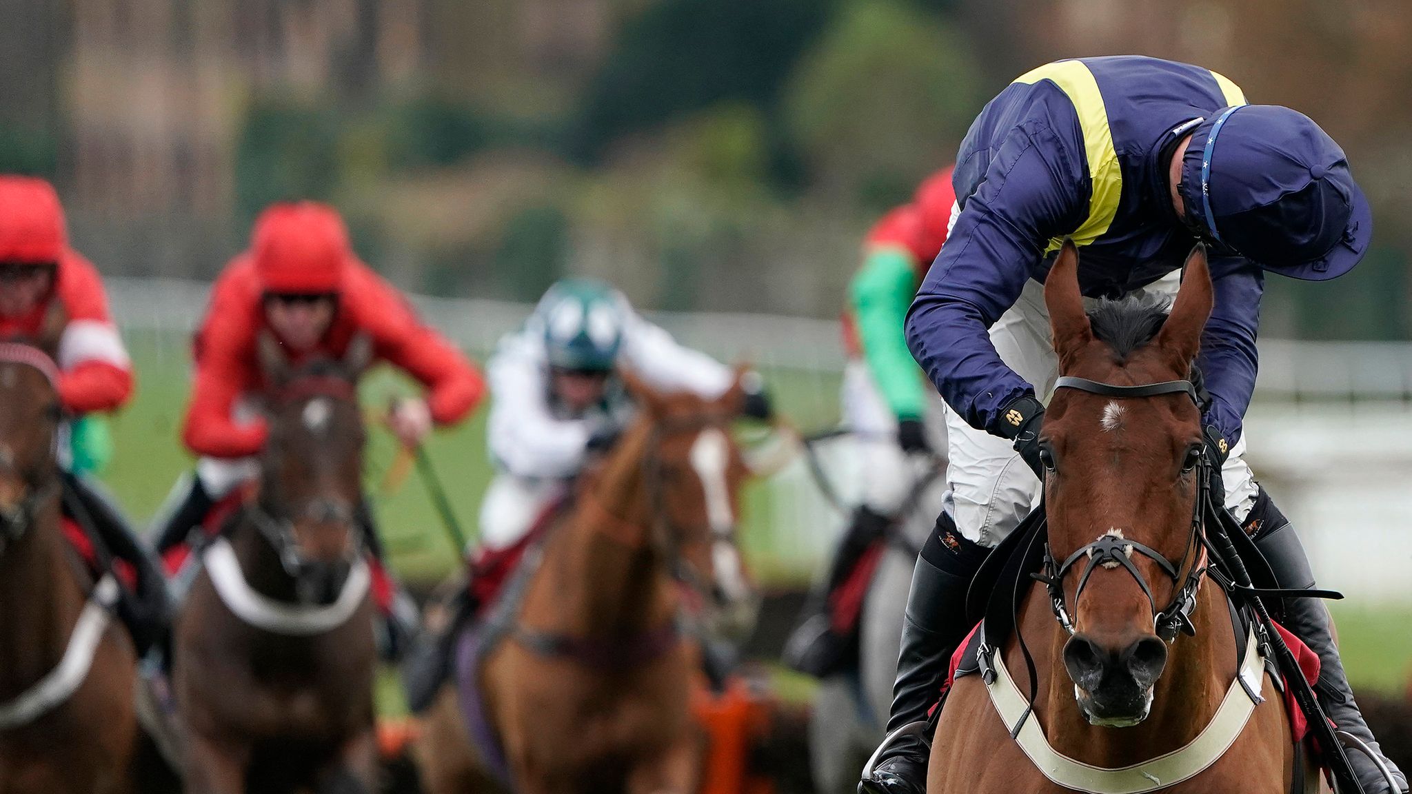 fiddlerontheroof horse odds