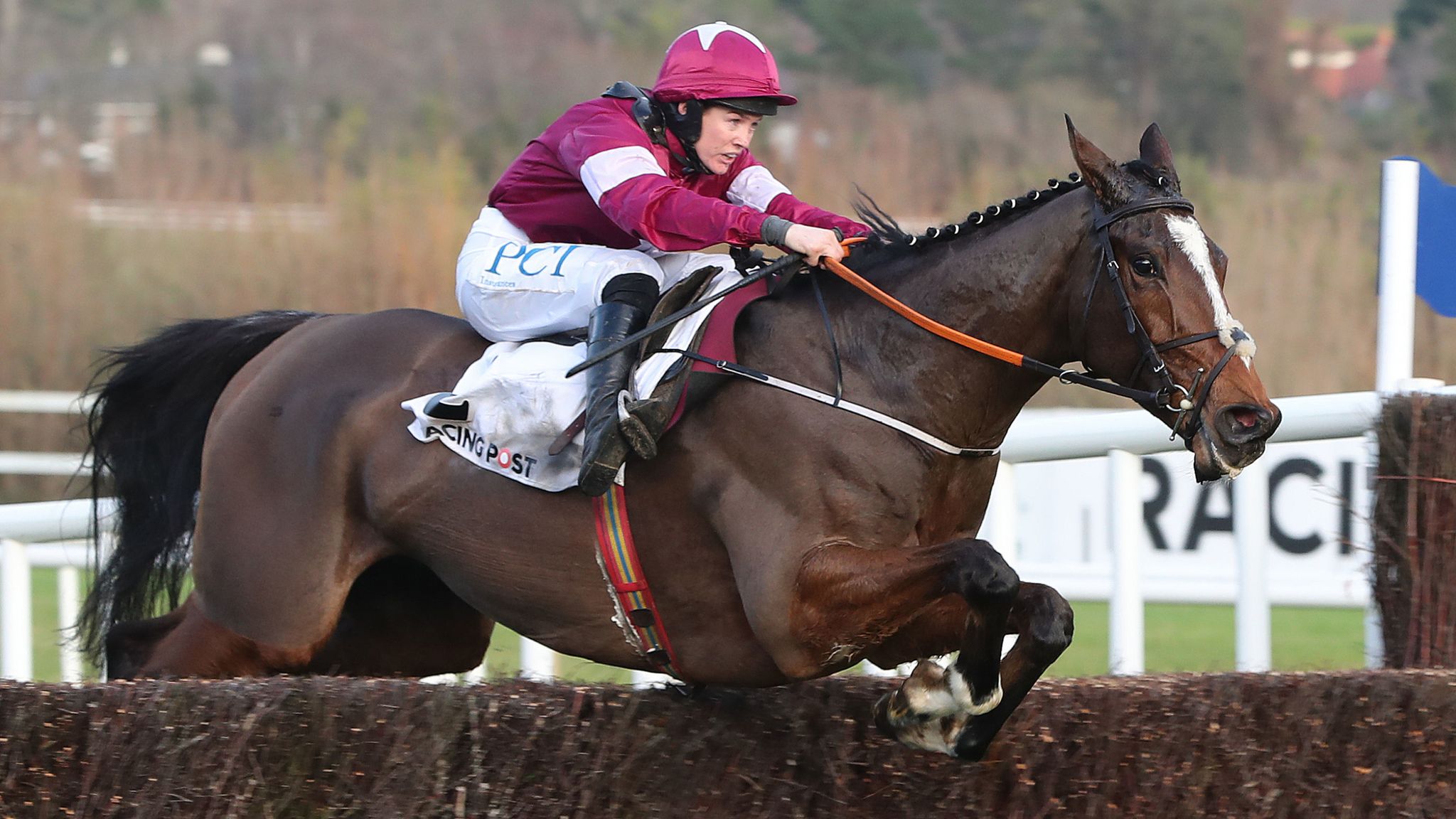 Cheltenham Festival novice chase entries revealed Racing