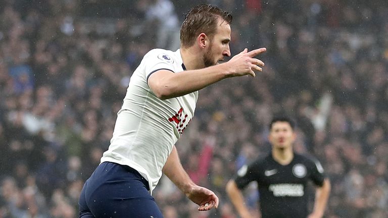 Harry Kane celebrates his equaliser against Brighton