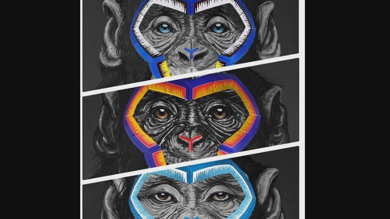 Serie A has invited further controversy by using three paintings of monkeys to illustrate a campaign to stamp out racism