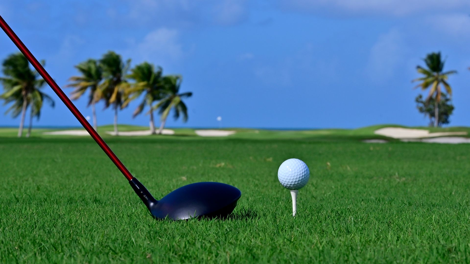 Golf courses reopen: Key points