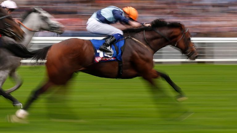 Accidental Agent - Lockinge a target