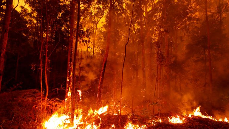 Bushfires continue to rage across New South Wales and Victoria