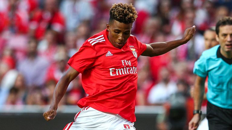 Gedson Fernandes of SL Benfica in action during the Liga NOS match between SL Benfica and Rio Ave FC at Estadio da Luz on November 2, 2019 