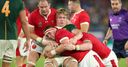 Wales to face Springboks in November Test