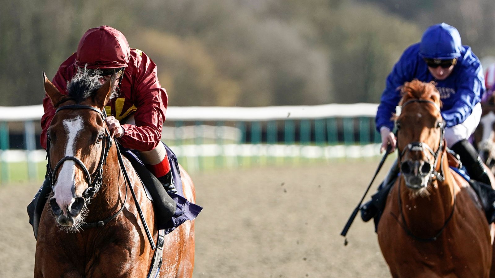 German 2000 Guineas Goal For Malotru Flipboard