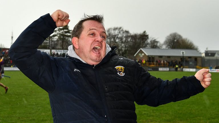 Wexford manager Davy Fitzgerald celebrates at full-time