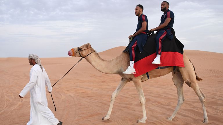 Pierre-Emerick Aubameyang and Alexandre Lacazette ride on a camel during Arsenal's mid-season break in Dubai