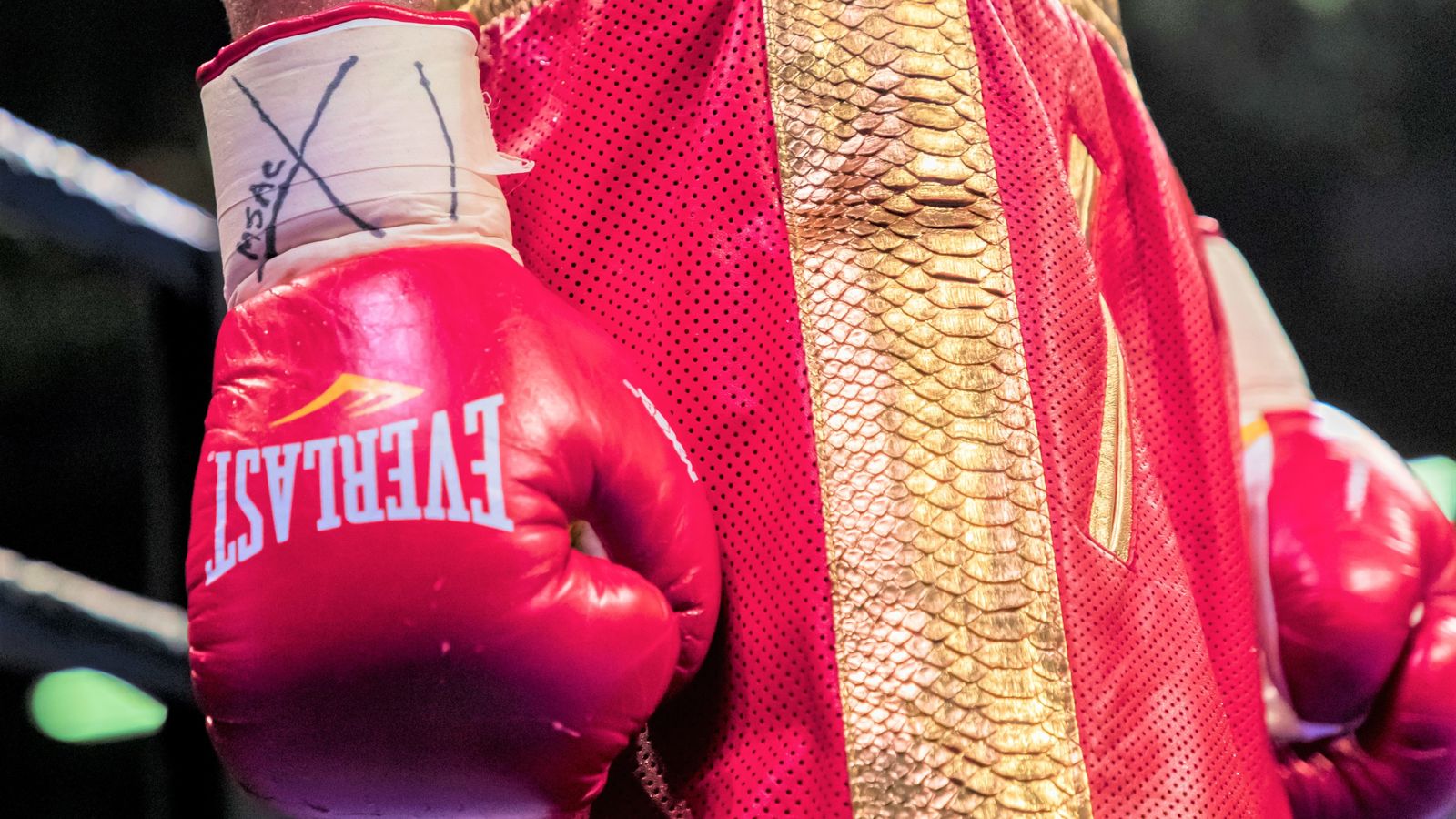 British boxing. Gervonta Tank Davis. Фото бокс Gervonta Davis.