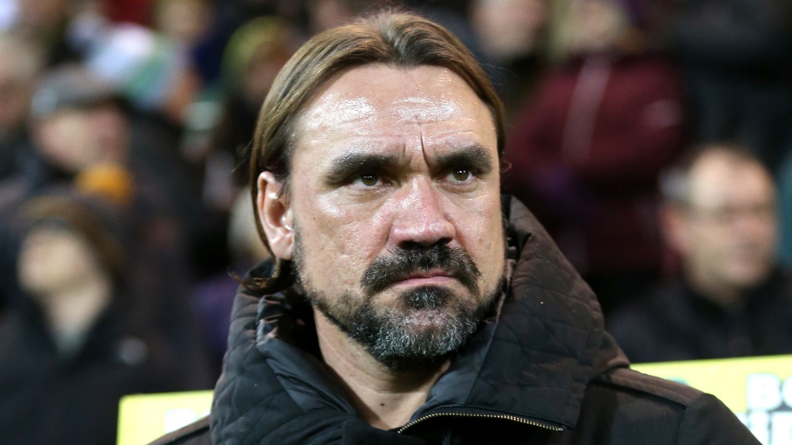 Daniel Farke says Norwich need five wins from seven games to stand a ...